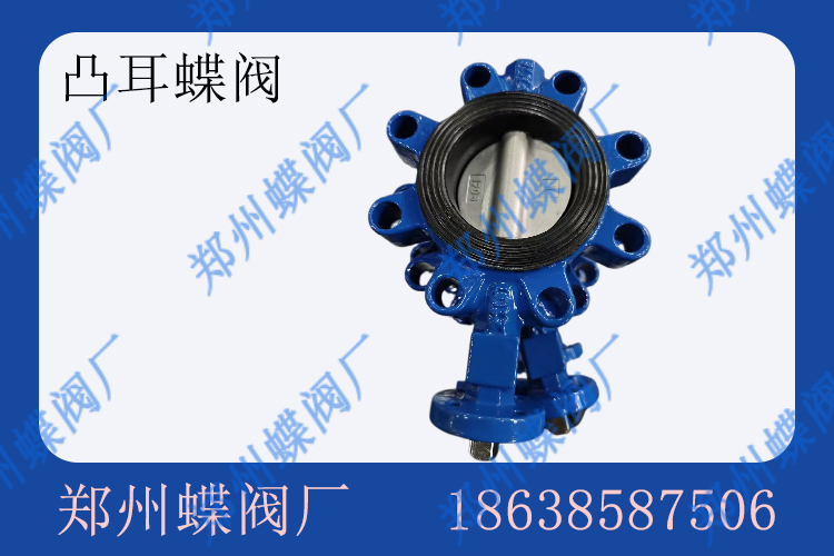 凸耳蝶閥與對夾蝶閥對比